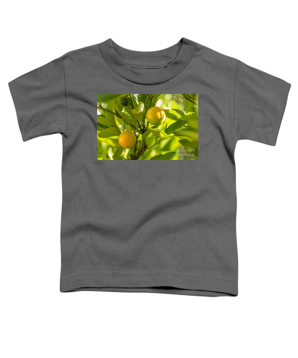 Australia Toddler T-Shirt featuring the photograph Kumquats by Steven Ralser