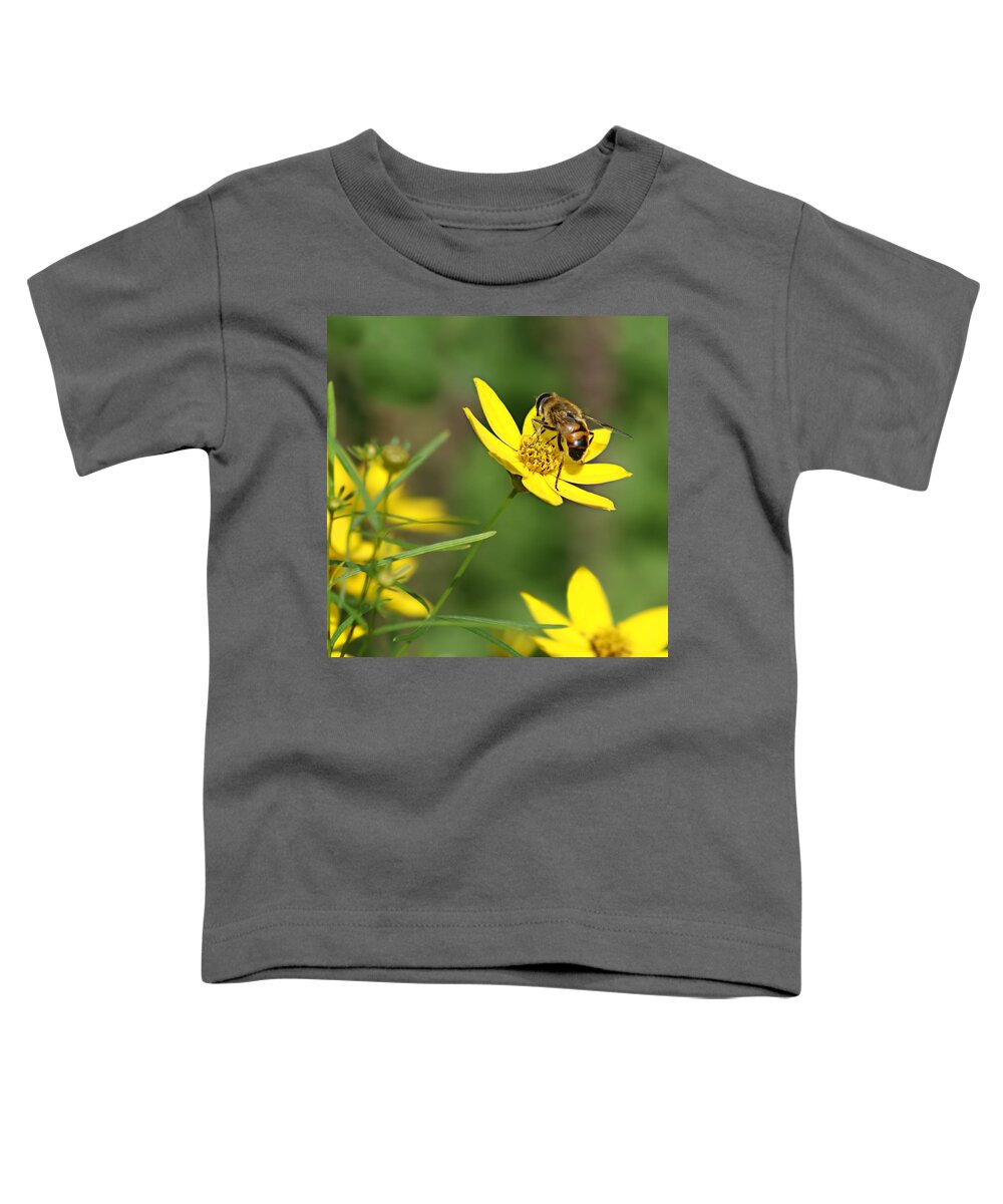 Bee Toddler T-Shirt featuring the photograph L'Abeille by Nikolyn McDonald