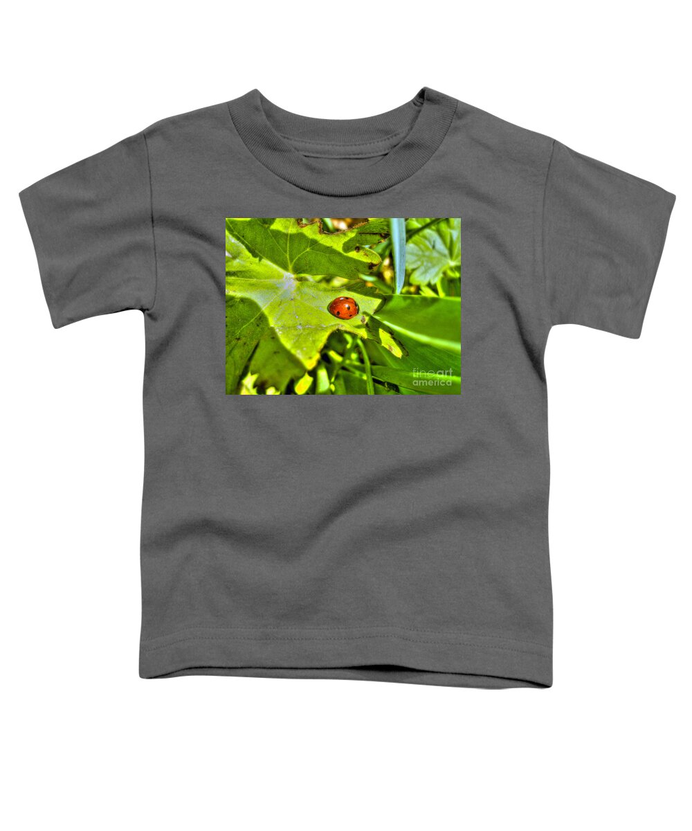 Bug Toddler T-Shirt featuring the photograph Ladybug by Nina Ficur Feenan