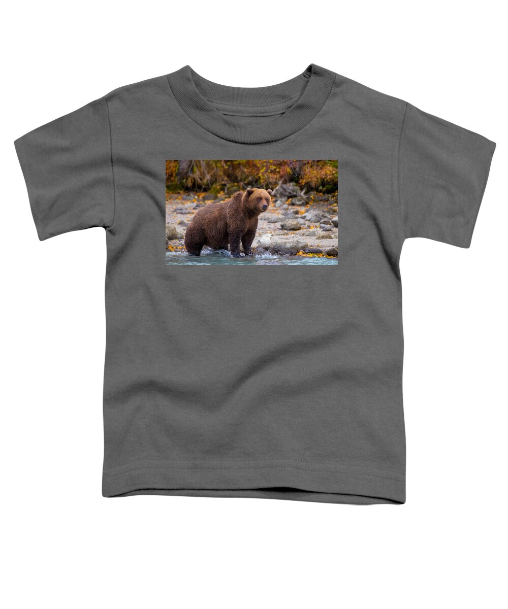 Bear Toddler T-Shirt featuring the photograph Lake Scan by Kevin Dietrich