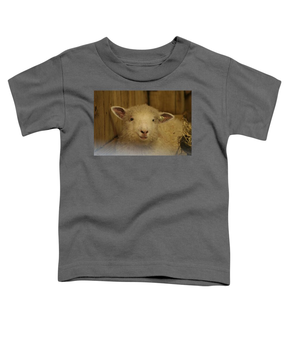 Lamp Toddler T-Shirt featuring the photograph Lamb Chop by Valerie Collins