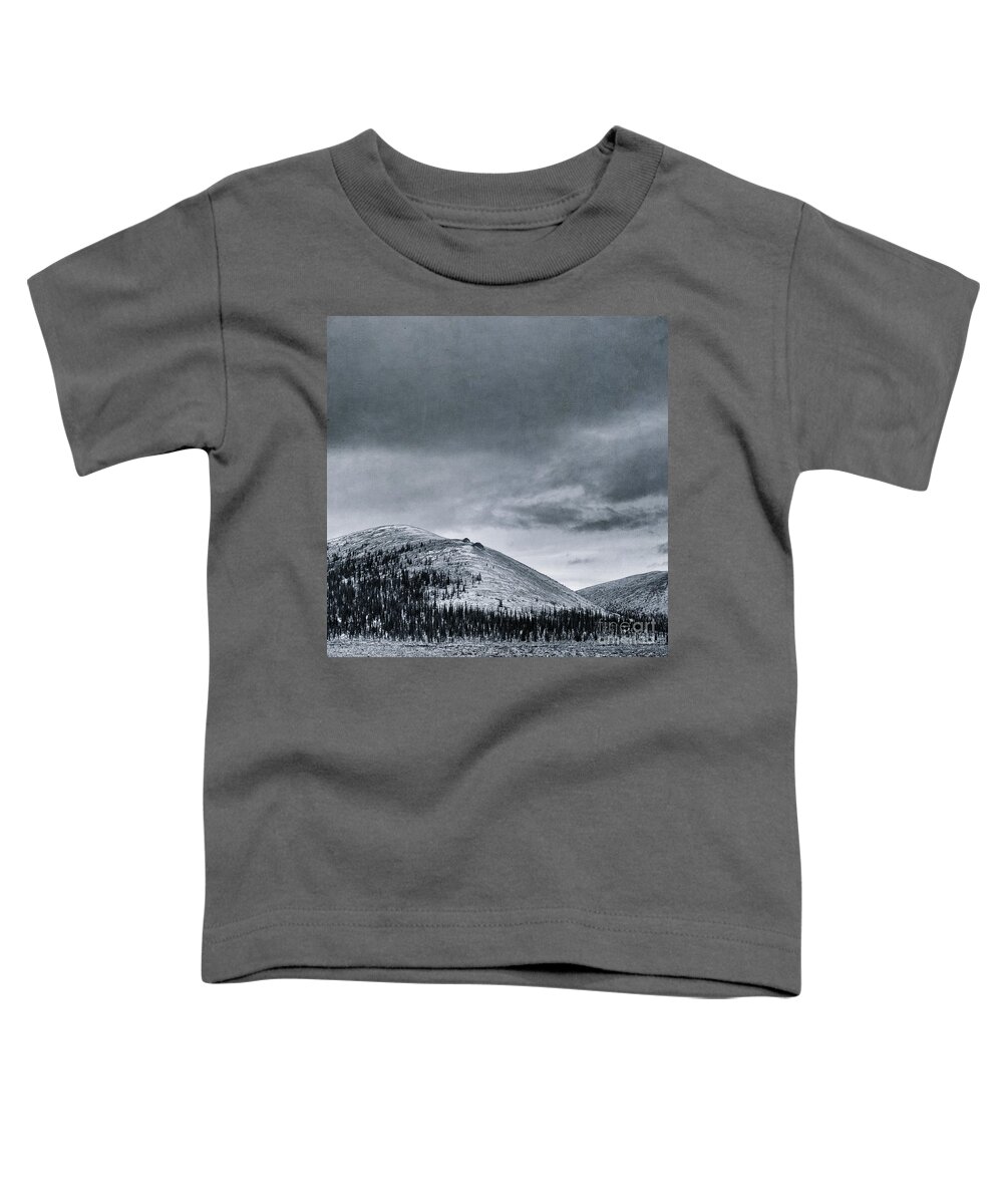 Mountain Toddler T-Shirt featuring the photograph Land Shapes 10 by Priska Wettstein