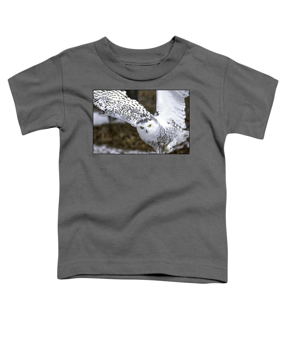 Usa Toddler T-Shirt featuring the photograph Landing of the snowy owl where are you Harry Potter by LeeAnn McLaneGoetz McLaneGoetzStudioLLCcom