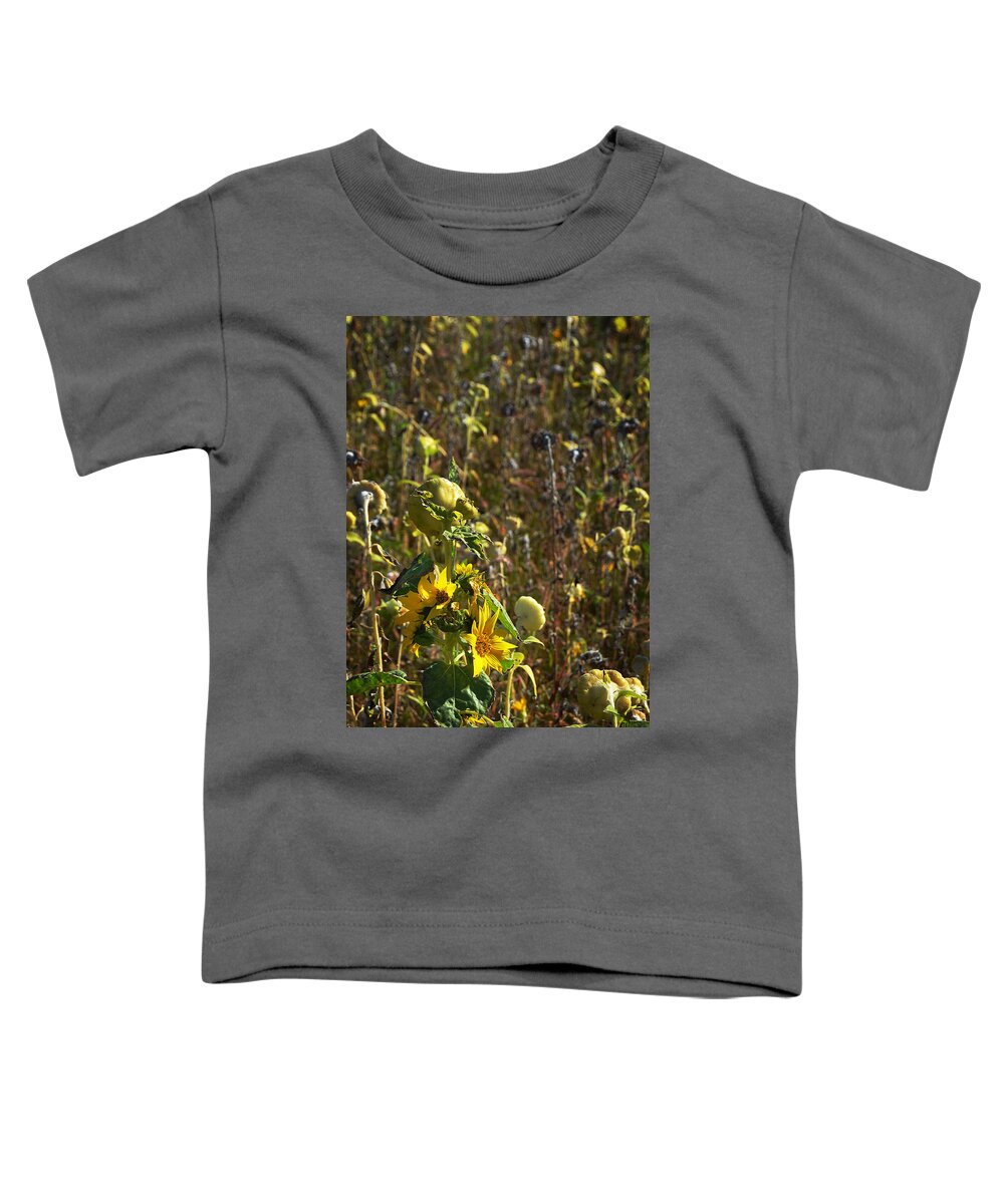 Sunflower Toddler T-Shirt featuring the photograph Late Bloomer by Carla Parris