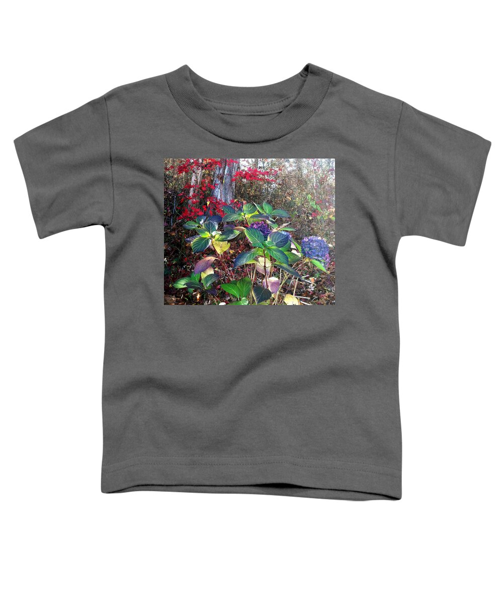 Hydrangeas Toddler T-Shirt featuring the photograph Late Hydrangeas by Frank Winters