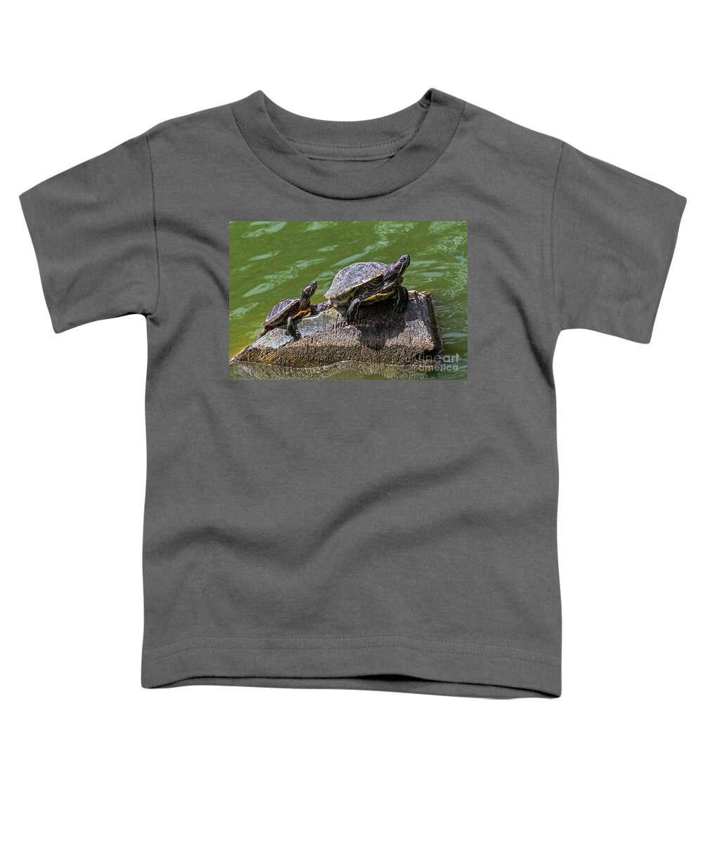 Golden Gate Park Toddler T-Shirt featuring the photograph Learning the Ropes by Kate Brown
