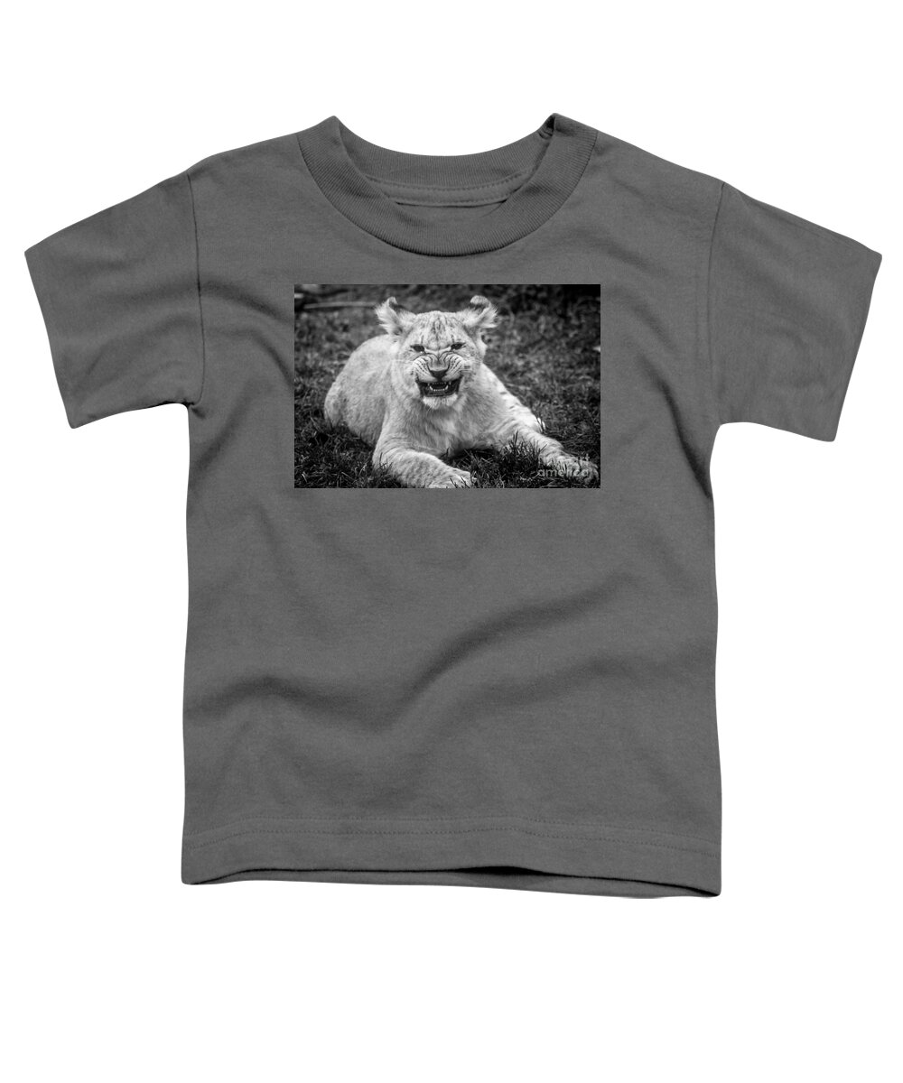 Lion Toddler T-Shirt featuring the photograph Learning to Roar by David Rucker