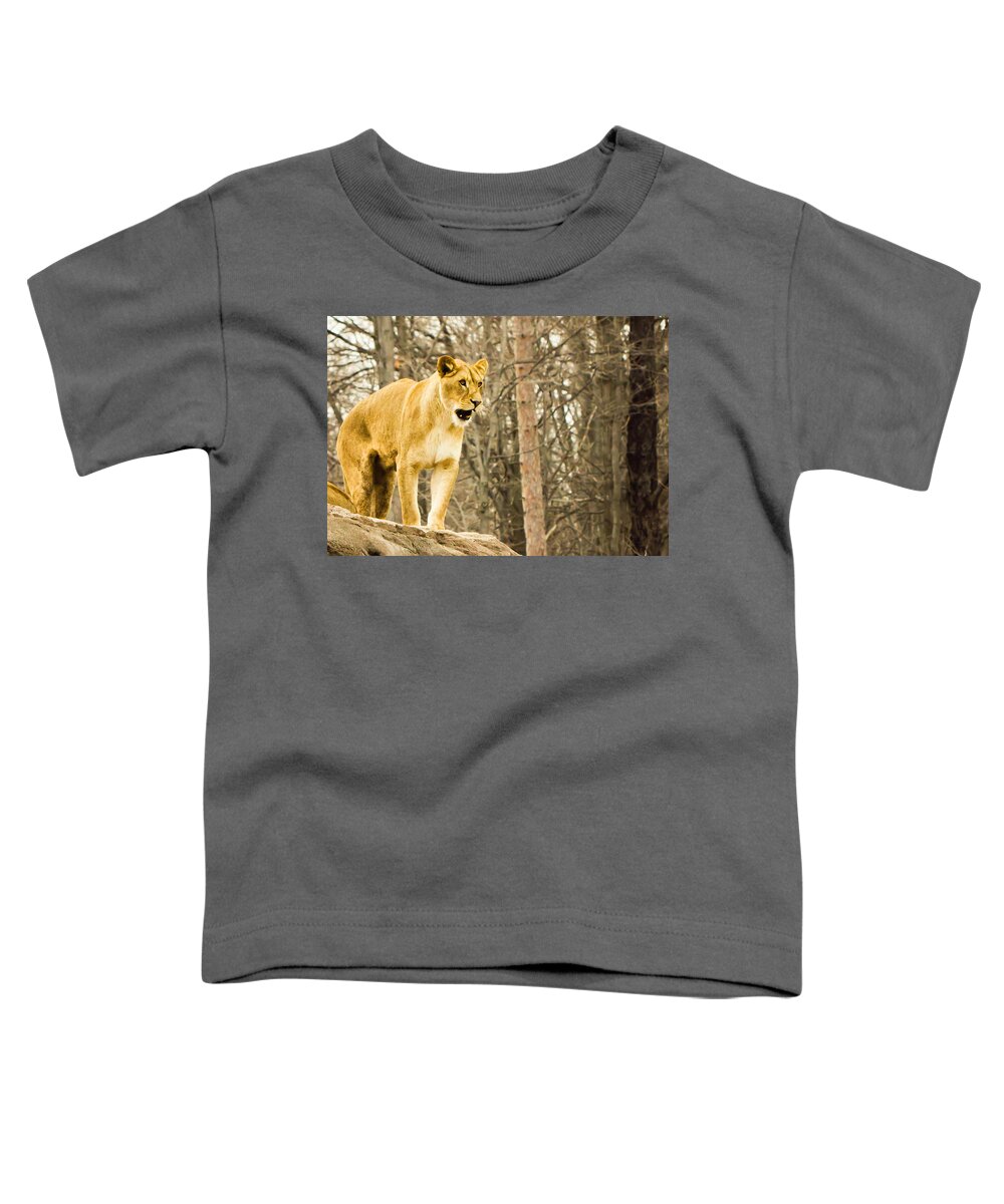 Lion Toddler T-Shirt featuring the photograph Let it Roar by Sara Frank
