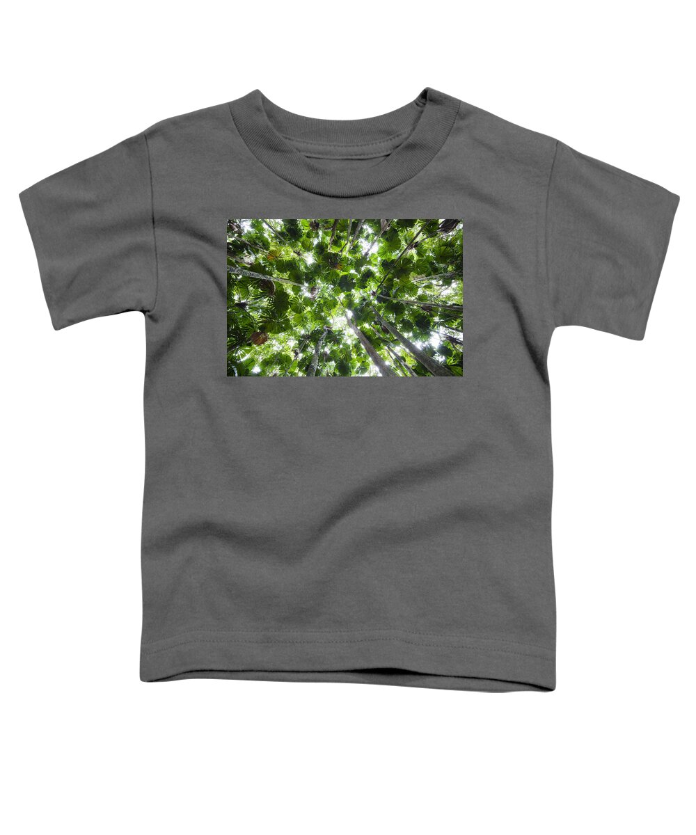 Feb0514 Toddler T-Shirt featuring the photograph Licuala Fan Palm Canopy Daintree Np by Konrad Wothe