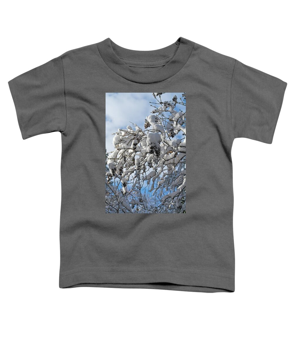 Snow On Branches Toddler T-Shirt featuring the photograph Lilac in Winter by Michele Myers