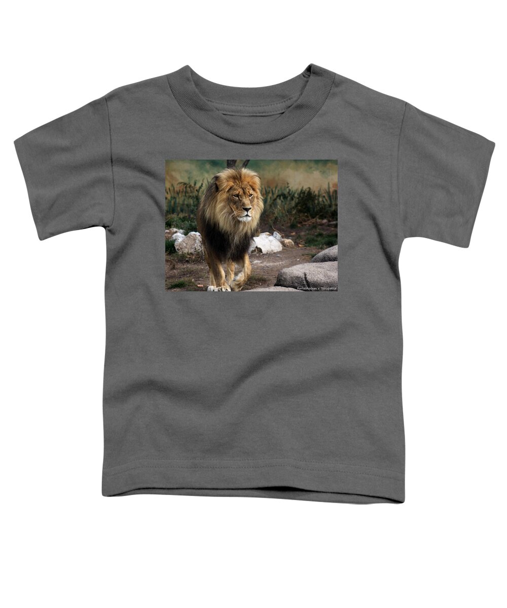 Lion Toddler T-Shirt featuring the photograph Lion King by Ramabhadran Thirupattur