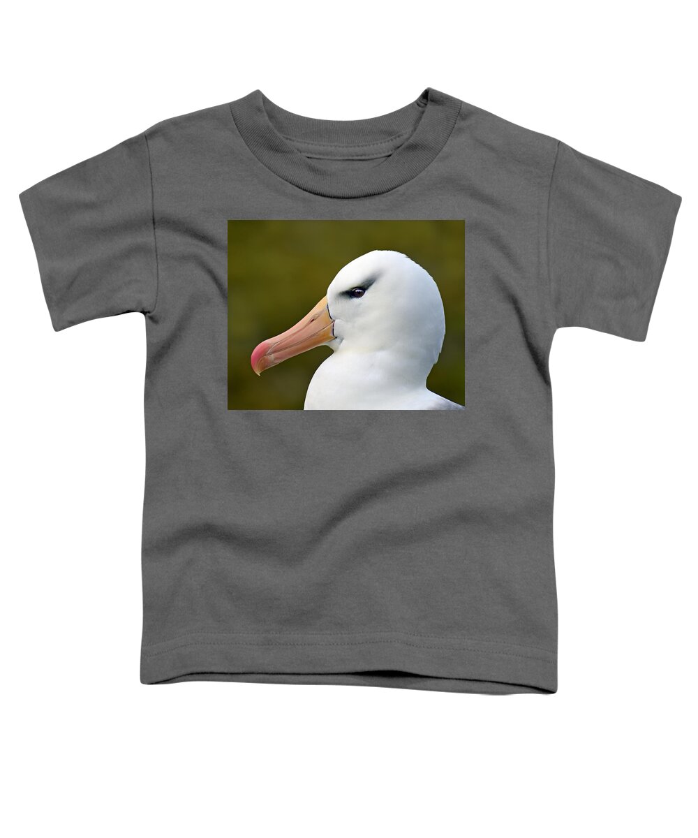 Black-browed Albatross Toddler T-Shirt featuring the photograph Lipstick and Mascara by Tony Beck