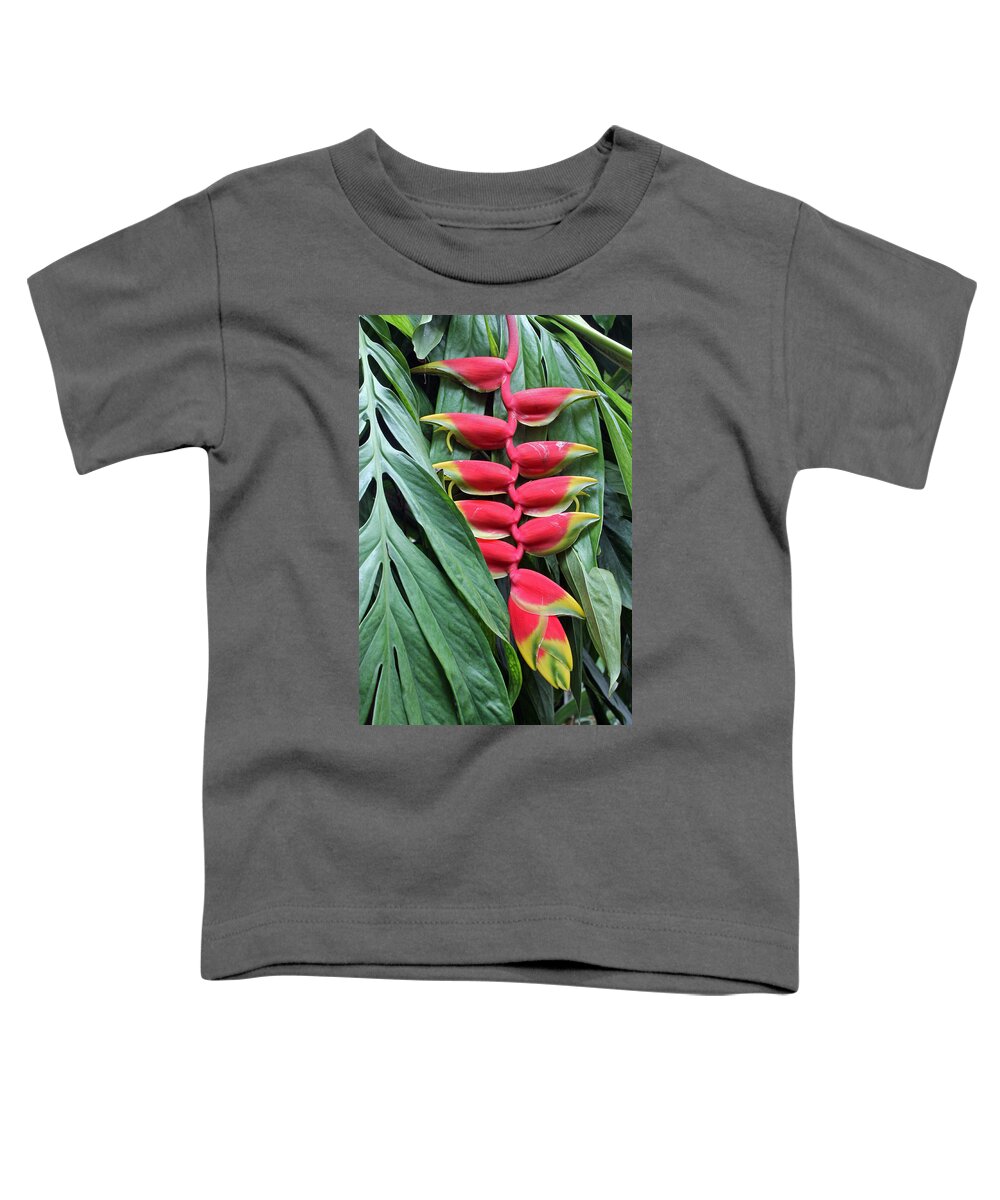 Lobster Claw Toddler T-Shirt featuring the photograph Lobster Claw by Tony Murtagh