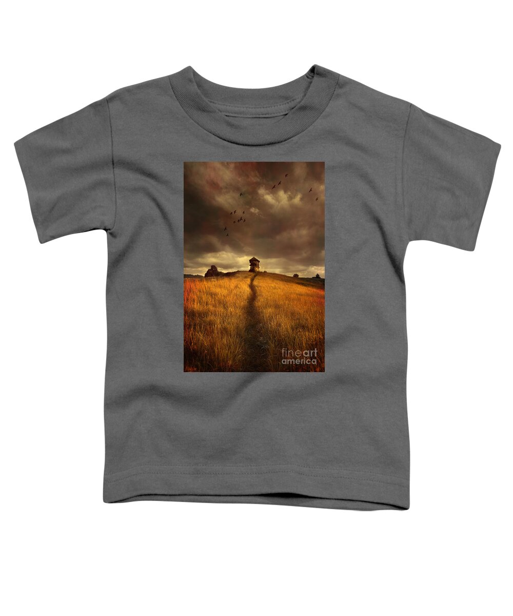 House On The Field Toddler T-Shirt featuring the photograph Lonely house on the hill by Jaroslaw Blaminsky