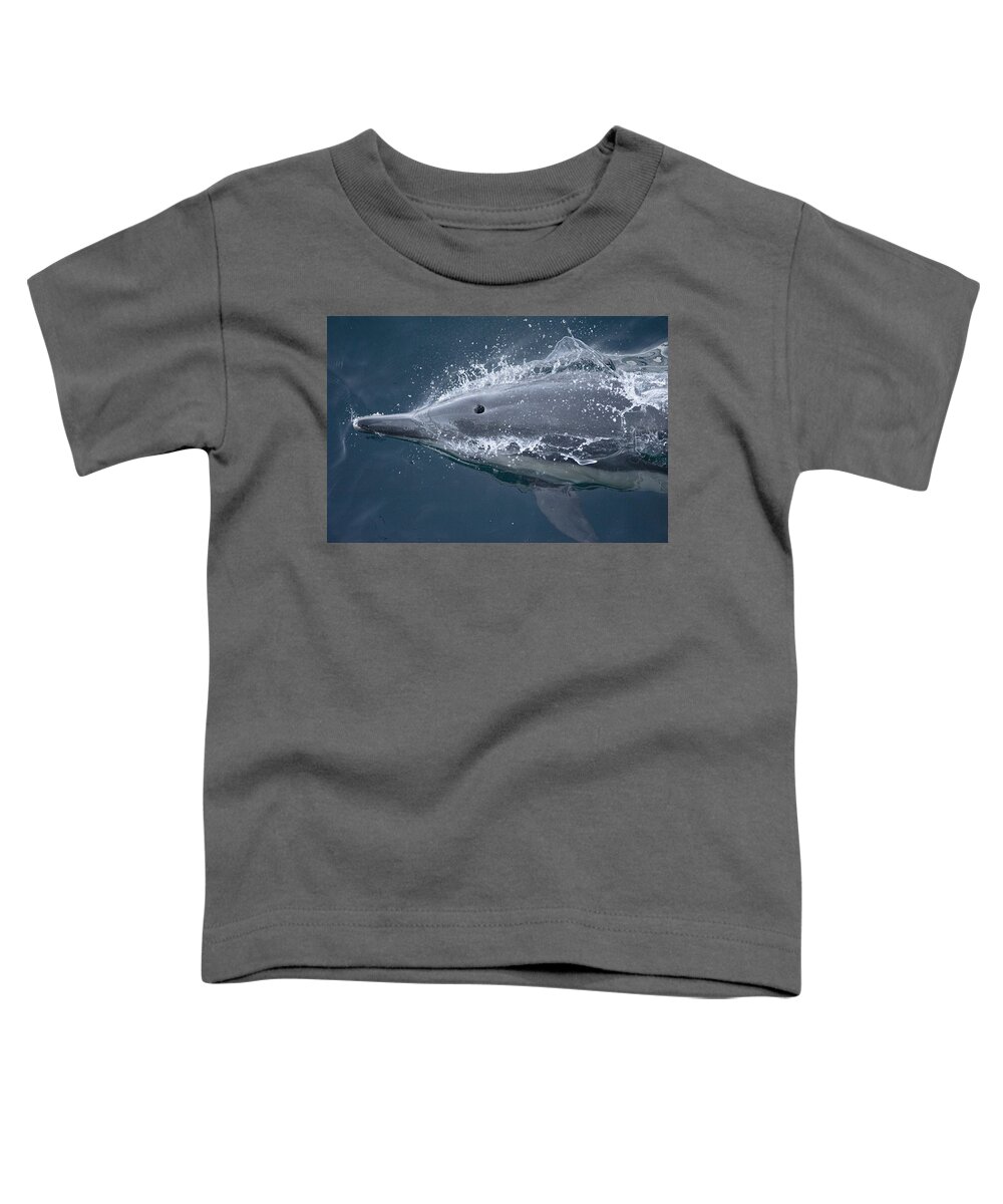 Feb0514 Toddler T-Shirt featuring the photograph Long-beaked Common Dolphin Baja by Flip Nicklin