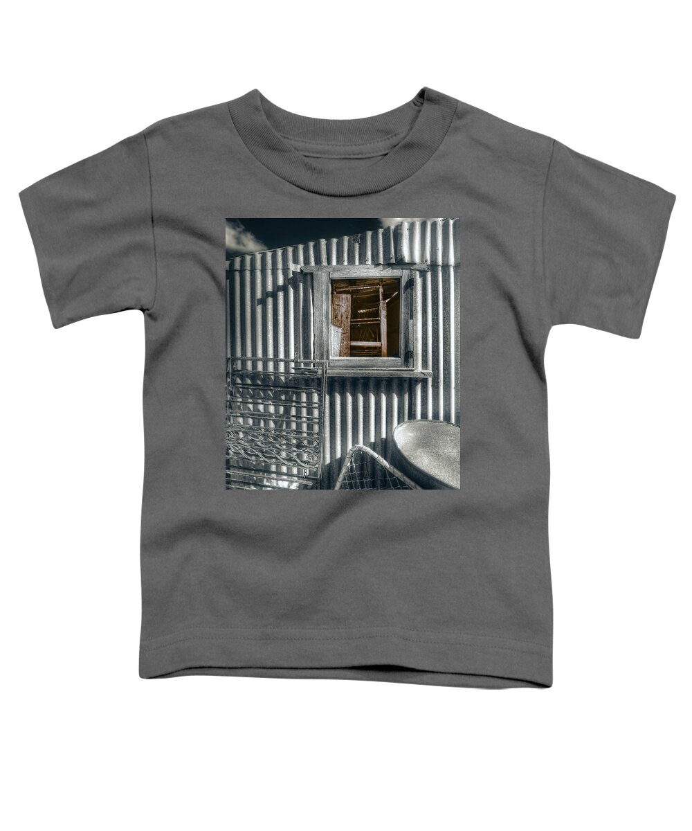 Shed Toddler T-Shirt featuring the photograph Looking Back by Wayne Sherriff