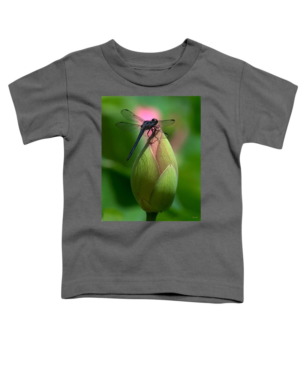 Lotus Bud Toddler T-Shirt featuring the photograph Lotus Bud and Slatey Skimmer Dragonfly DL006 by Gerry Gantt