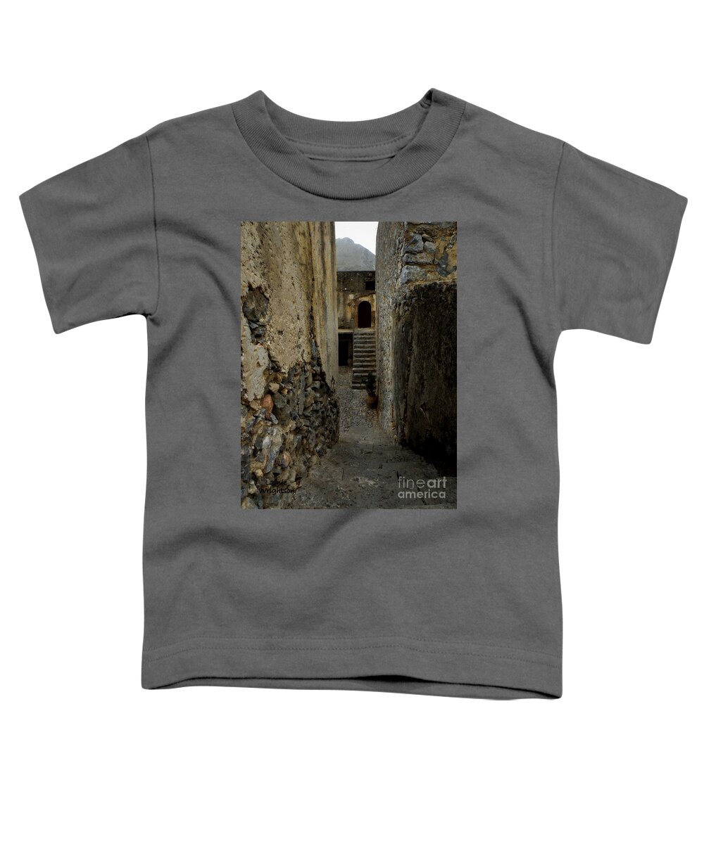 Monastery Toddler T-Shirt featuring the photograph Lower Preveli Monastery Crete 2 by Lainie Wrightson