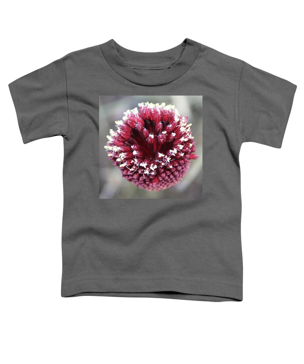 Allium Sphaerocephalon Toddler T-Shirt featuring the photograph Macro of Round-Headed Leek Flower Allium Sphaerocephalon by Taiche Acrylic Art