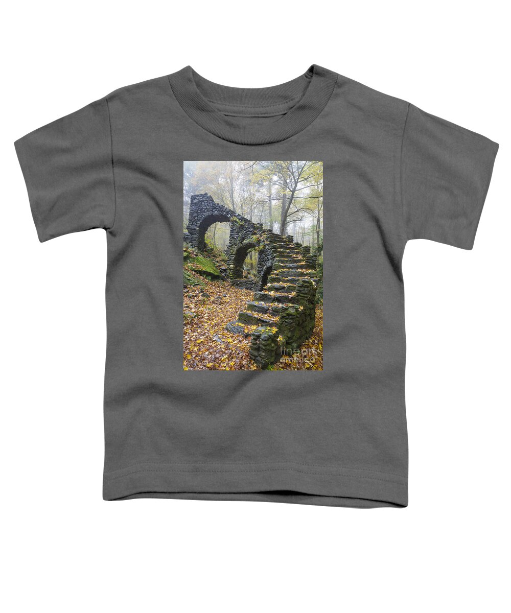 1900's Toddler T-Shirt featuring the photograph Madame Sherri Forest - Chesterfield New Hampshire USA #1 by Erin Paul Donovan