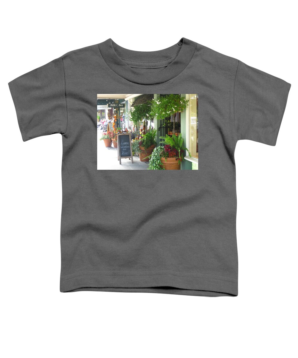Seattle Toddler T-Shirt featuring the photograph Madison Valley Street Scene 2 by David Trotter