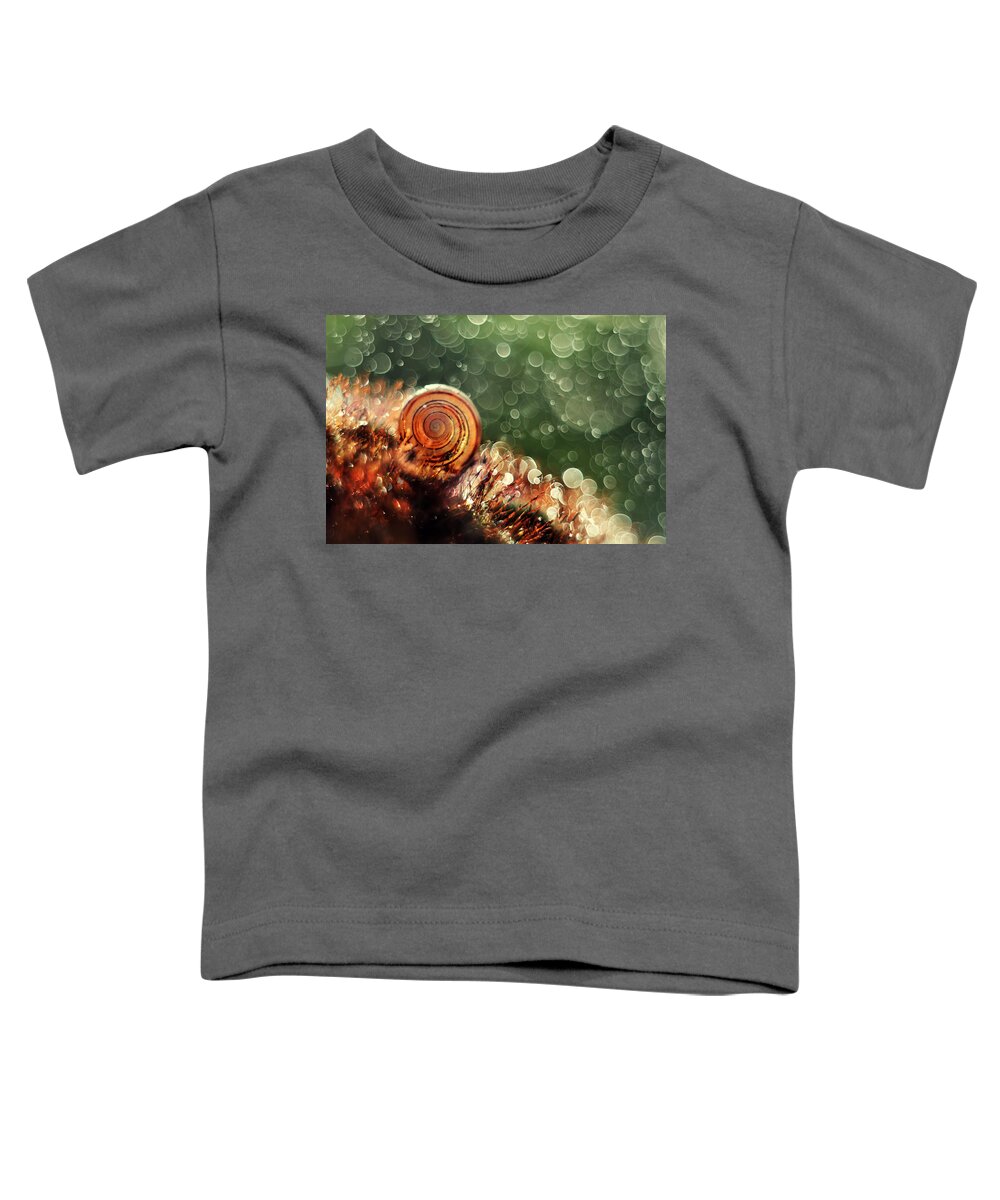 Snail Toddler T-Shirt featuring the photograph Magic forest #1 by Jaroslaw Blaminsky
