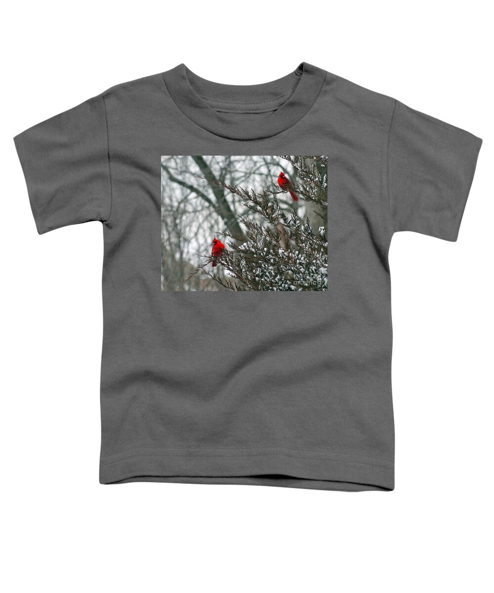 Winter Toddler T-Shirt featuring the photograph Male Cardinal Pair by Karen Adams