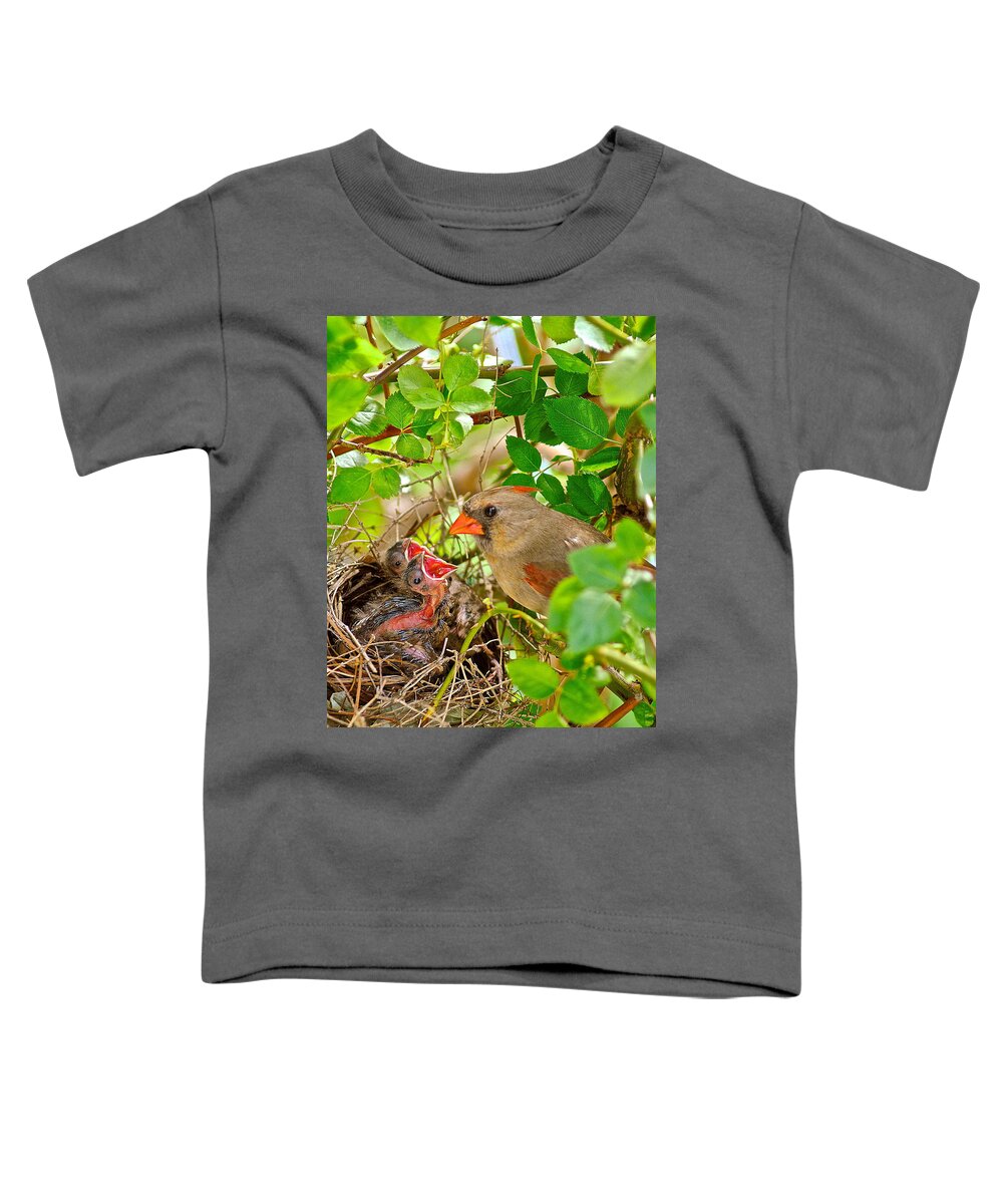 Cardinal Toddler T-Shirt featuring the photograph Mama Bird by Frozen in Time Fine Art Photography