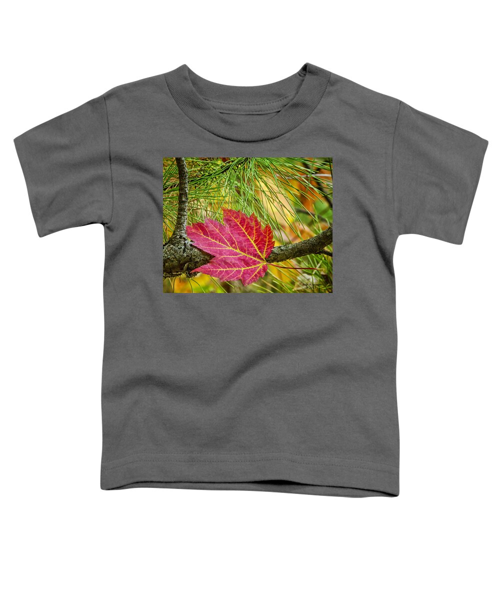 Maple Leaf Toddler T-Shirt featuring the photograph Maple Leaf in the Pines by Peg Runyan