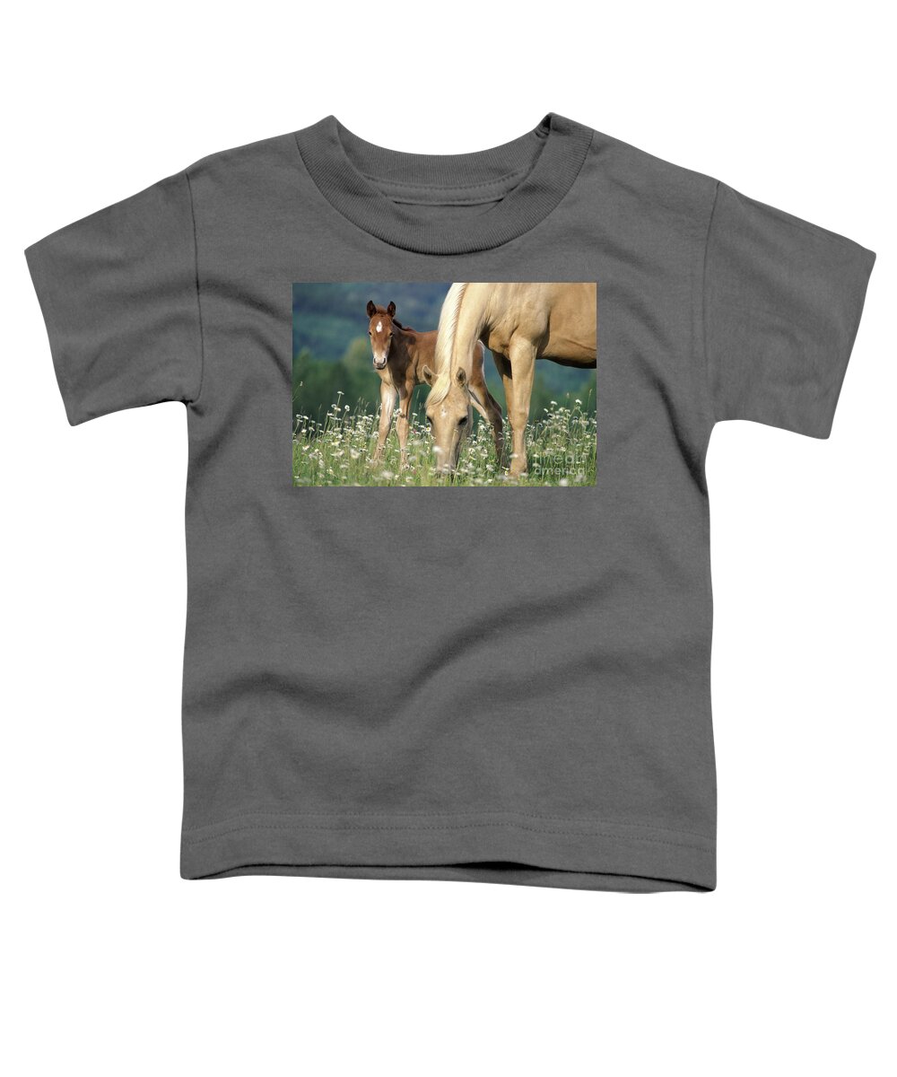 Horse Toddler T-Shirt featuring the photograph Mare And Foal In Meadow by Rolf Kopfle
