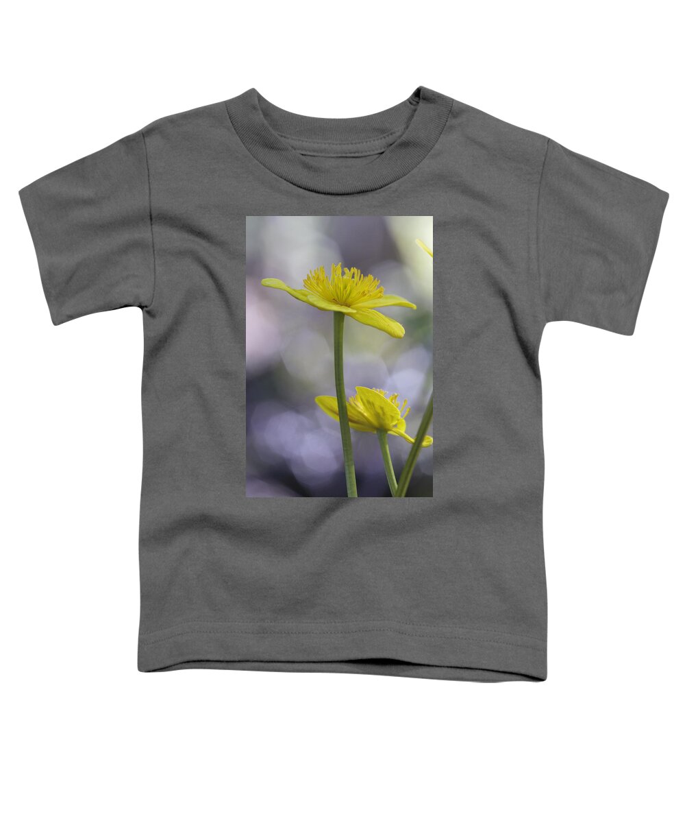 Beautiful Toddler T-Shirt featuring the photograph Marsh marigold - available for licensing by Ulrich Kunst And Bettina Scheidulin