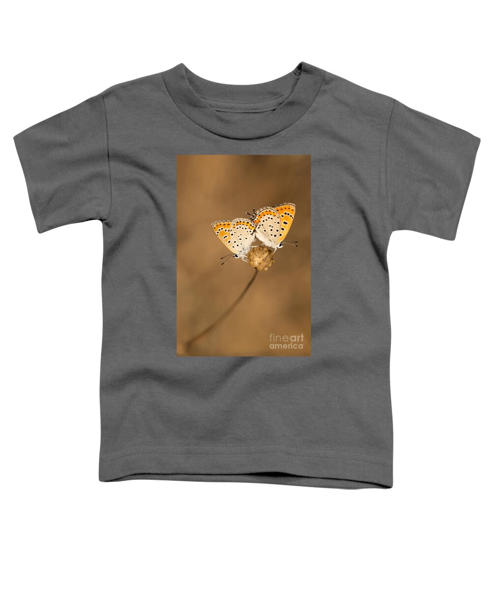 Mating Toddler T-Shirt featuring the photograph Mating butterflies by Alon Meir
