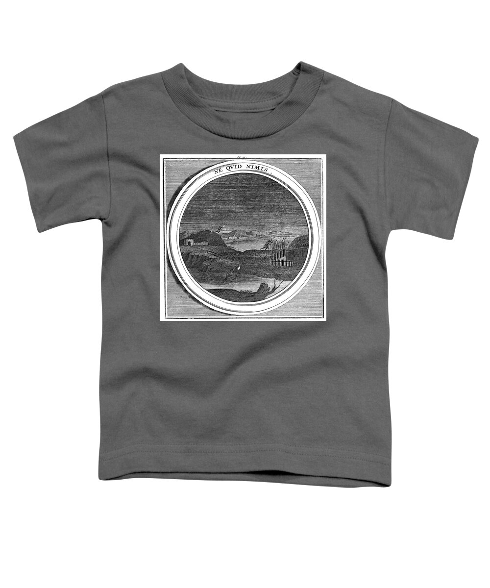 1700s Toddler T-Shirt featuring the photograph Meteorologia, Ignis Fatuus, Marsh by Science Source