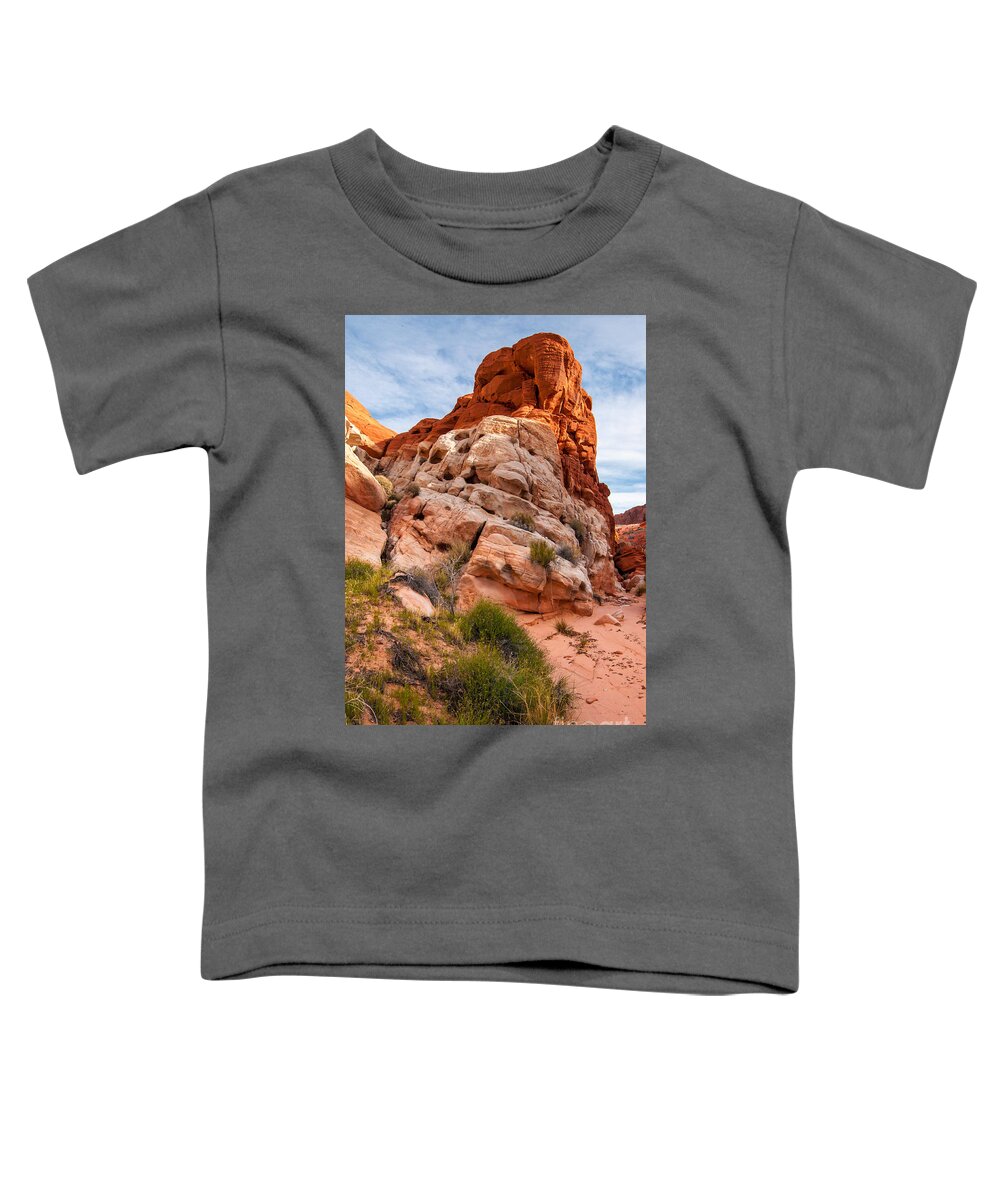 Mojave Toddler T-Shirt featuring the photograph Mojave Desert Sandstone Wash - Valley of Fire - Nevada by Gary Whitton
