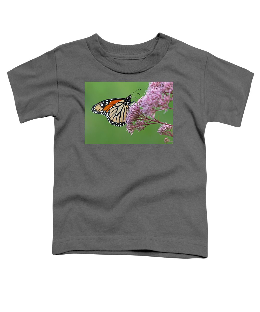 Monarch Toddler T-Shirt featuring the photograph Monarch Butterfly Photography by Juergen Roth