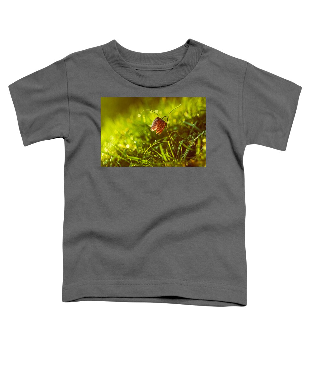 Flower Toddler T-Shirt featuring the photograph Morning beauty by Davorin Mance