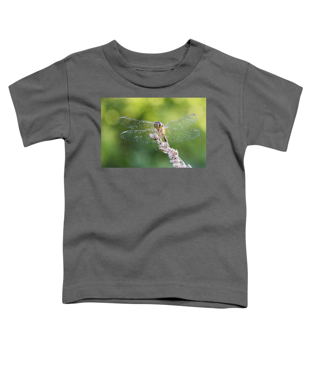 Background Toddler T-Shirt featuring the photograph Morning Dragonfly by Mircea Costina Photography