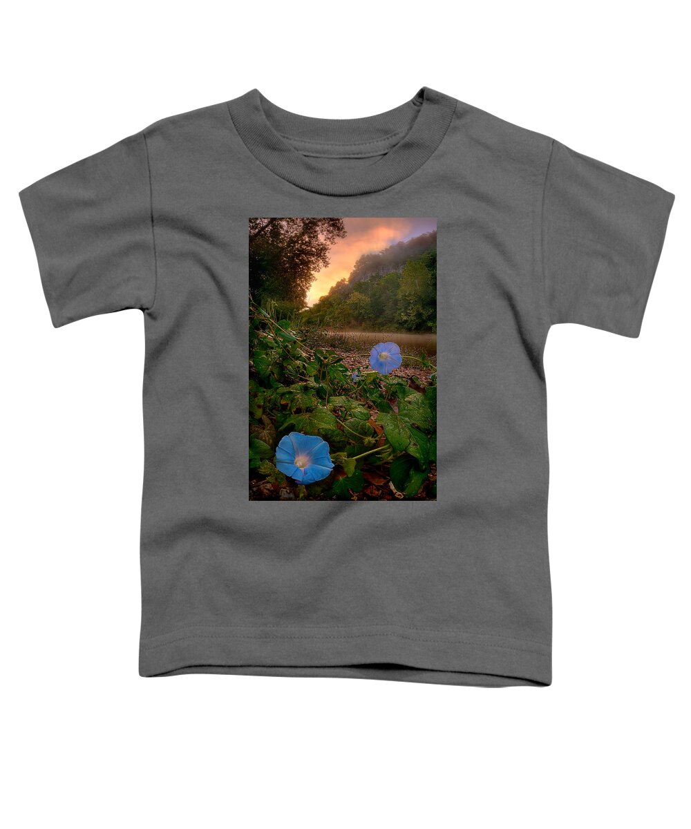 2012 Toddler T-Shirt featuring the photograph Morning Glory by Robert Charity
