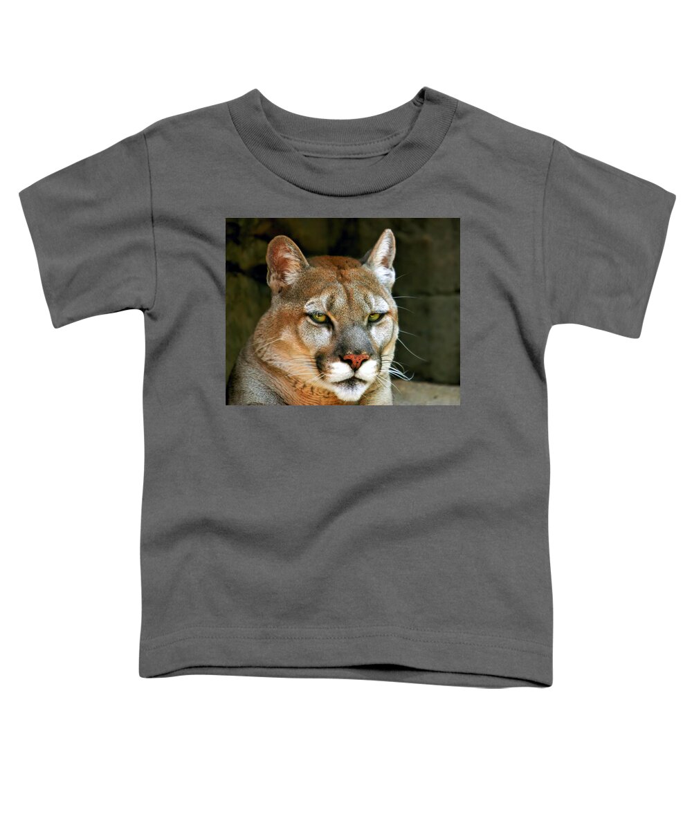 Mountain Lion Toddler T-Shirt featuring the photograph Mountain Lion by Mary Almond