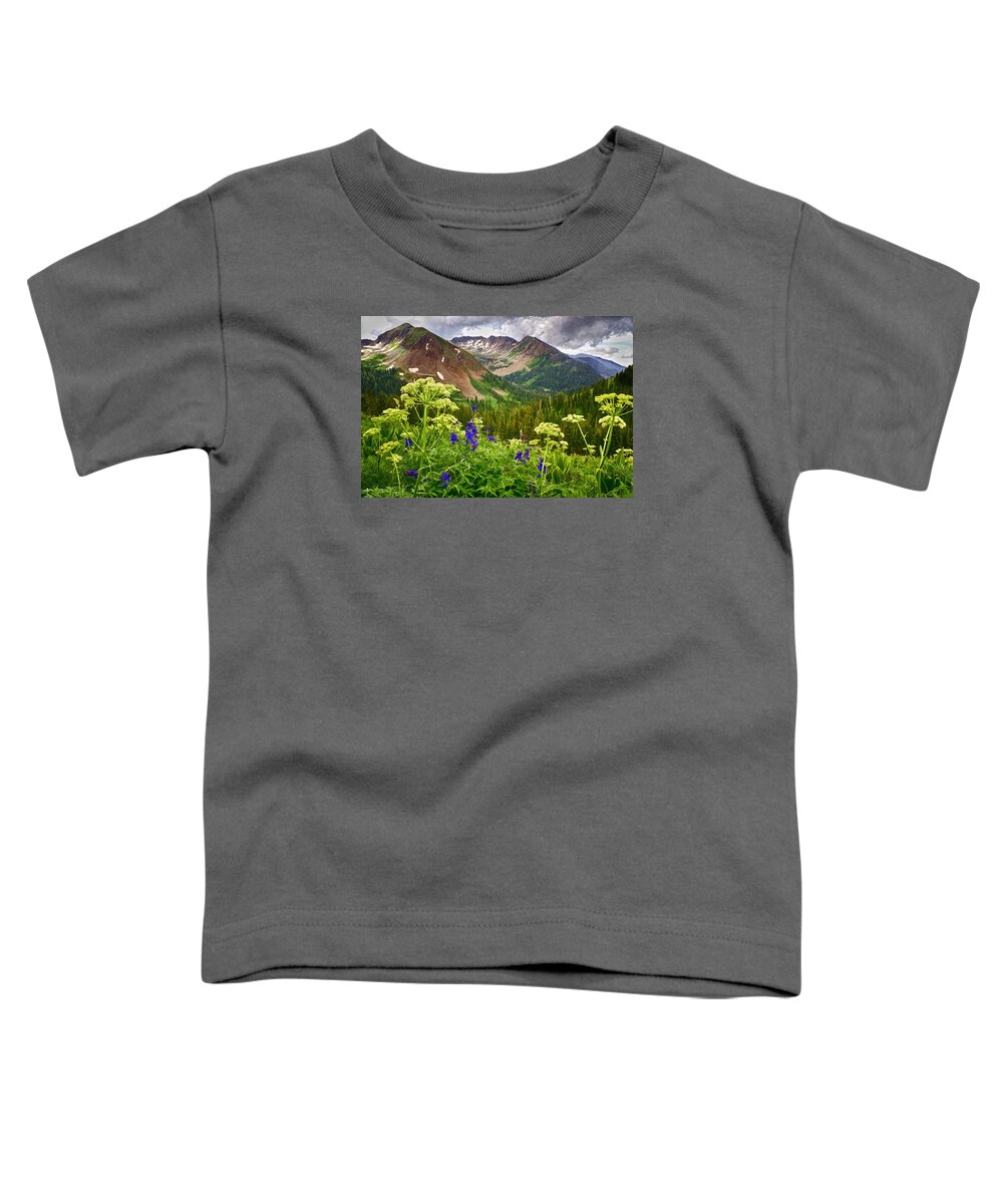 La Plata Mountains Toddler T-Shirt featuring the photograph Mountain Majesty by Priscilla Burgers