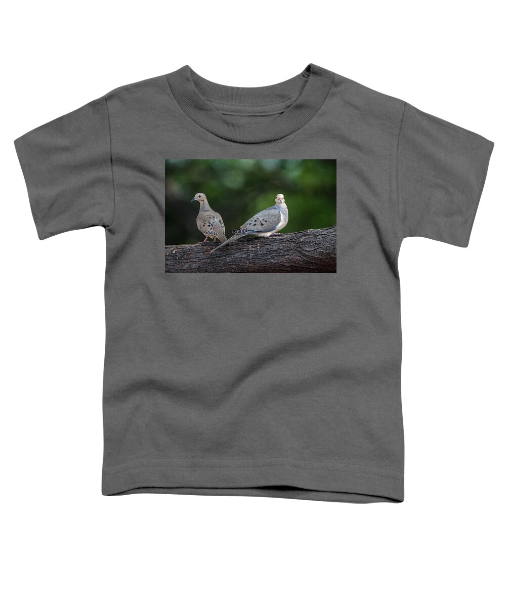 Mourning Doves Toddler T-Shirt featuring the photograph Mourning Doves by Tam Ryan