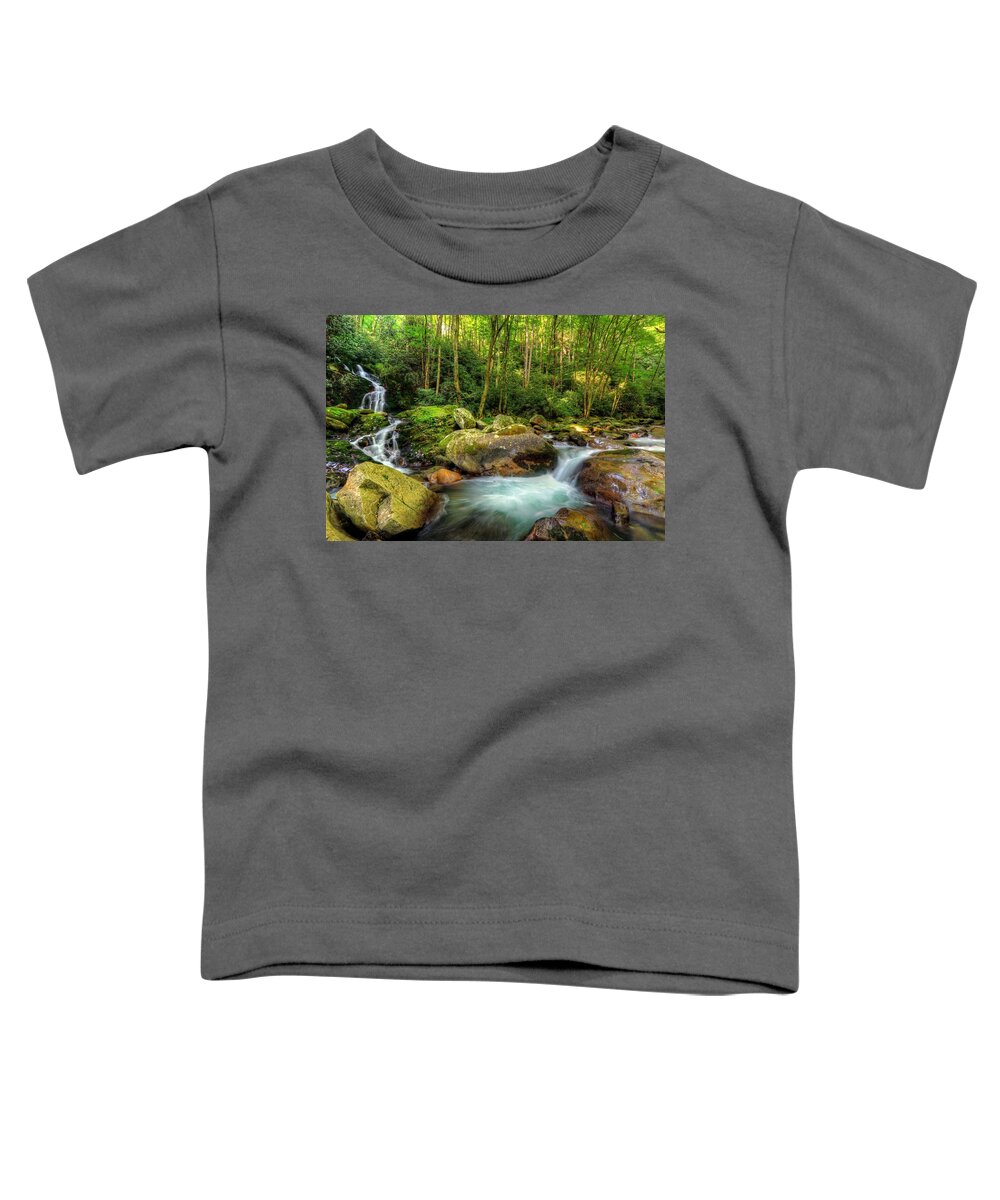Mouse Creek Falls In The Great Smoky Mountains National Park Toddler T-Shirt featuring the photograph Mouse Creek Falls by Carol Montoya