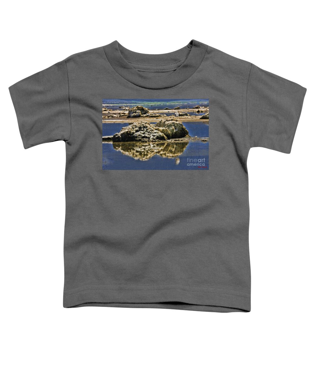 Black Point - Mono Lake Toddler T-Shirt featuring the photograph My Rock On Black Point - Mono Lake by Blake Richards