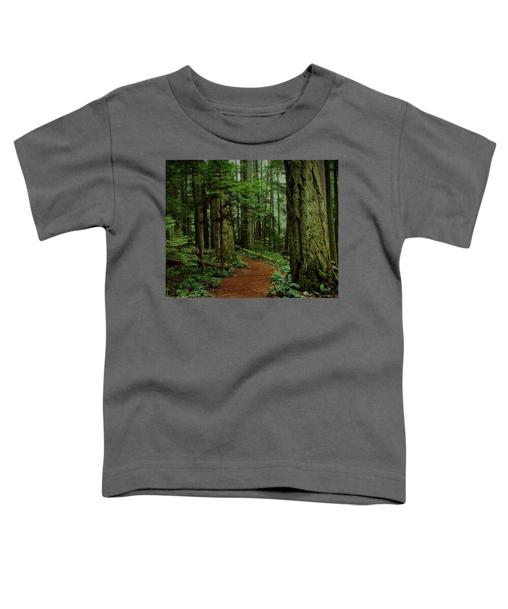 Forest Toddler T-Shirt featuring the photograph Mystical Path by Randy Hall