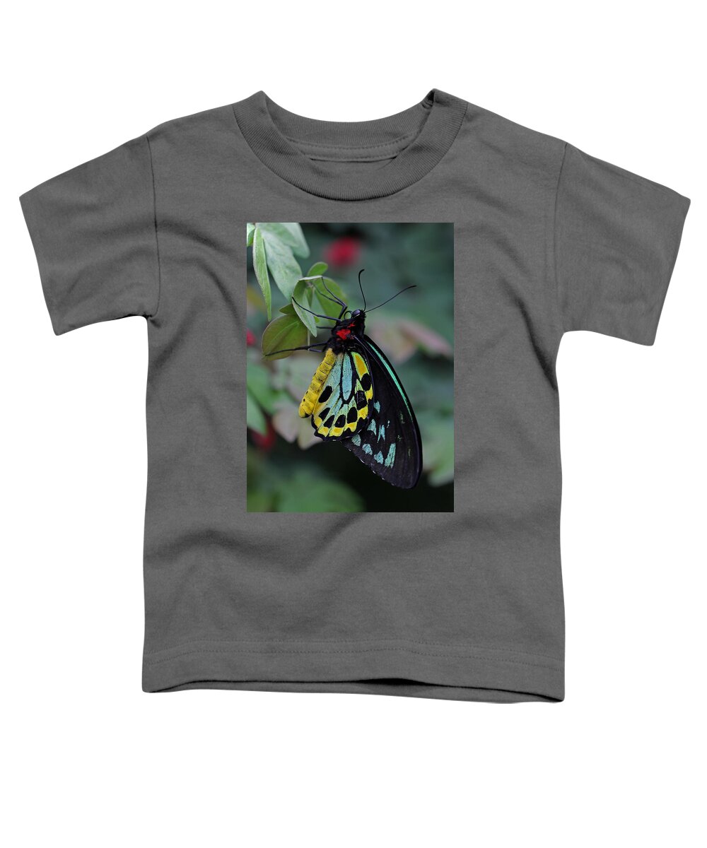 Butterfly Toddler T-Shirt featuring the photograph Natural Awakenings by Juergen Roth