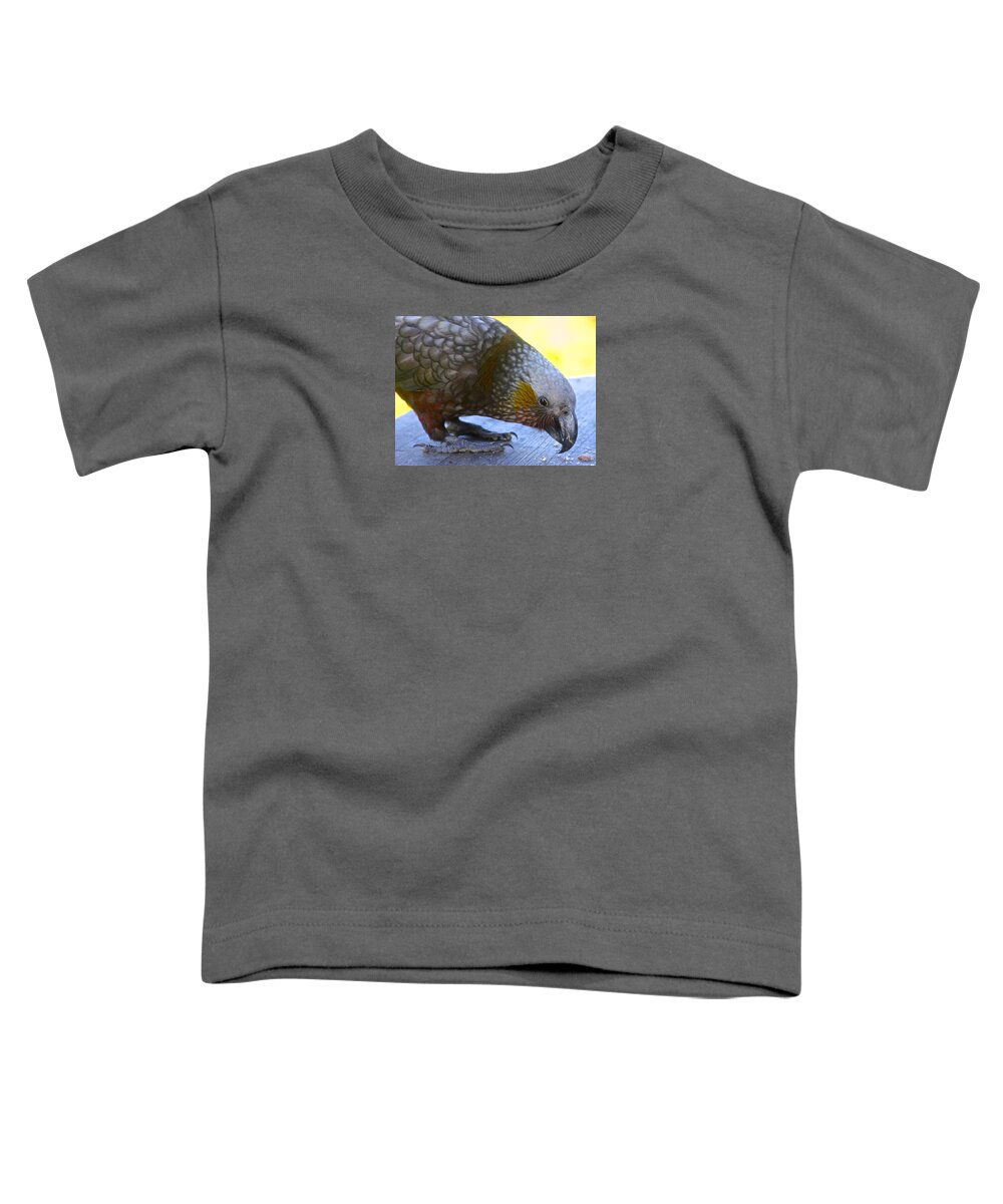 New Zealand Kaka Toddler T-Shirt featuring the photograph New Zealand Kaka Happy Hour by Venetia Featherstone-Witty