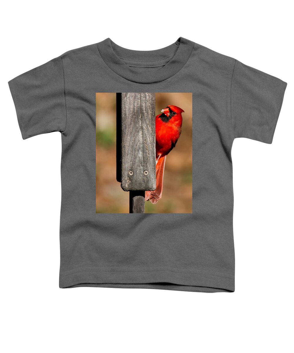 Northern Cardinal Toddler T-Shirt featuring the photograph Northern Cardinal by Robert L Jackson