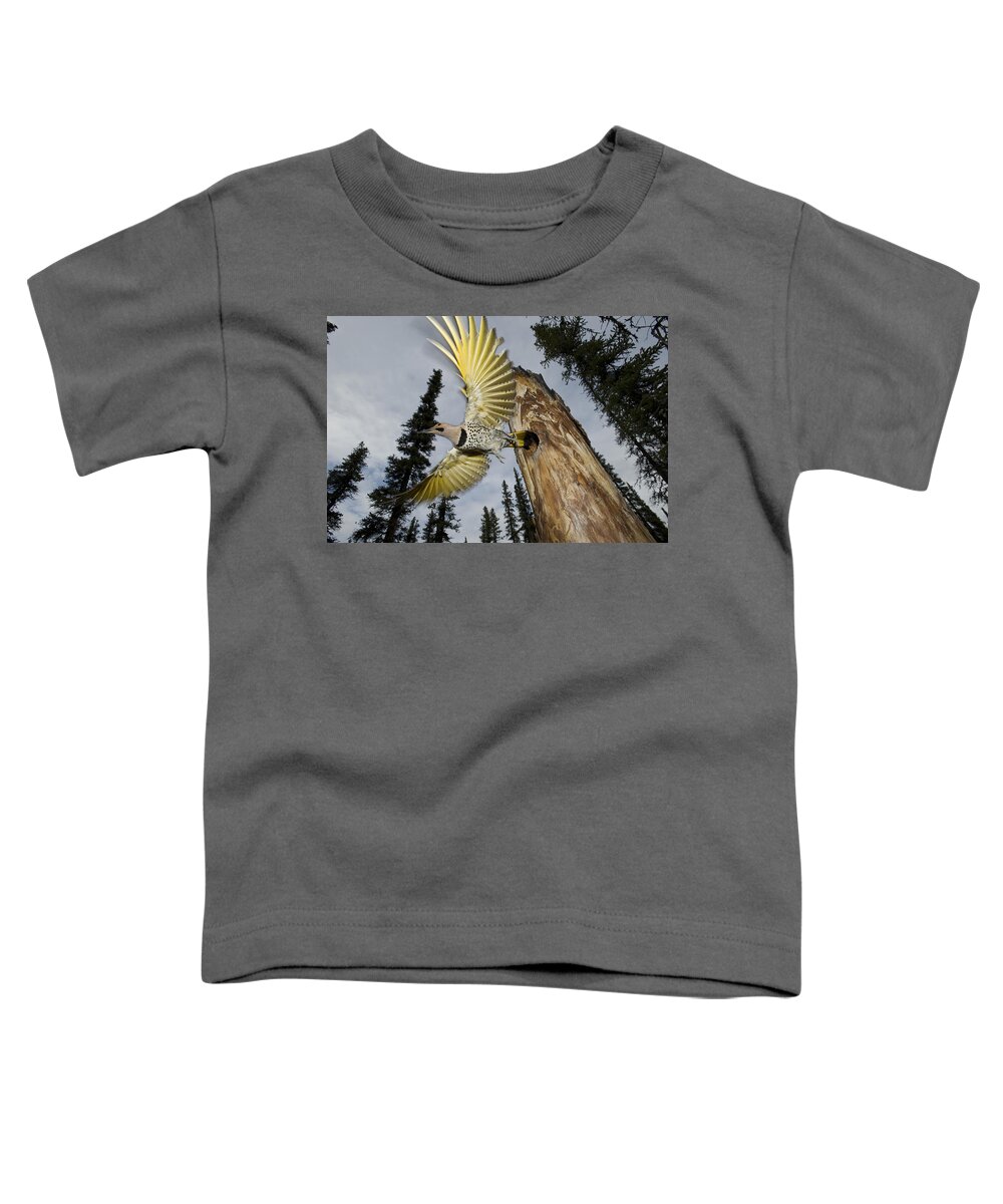 Michael Quinton Toddler T-Shirt featuring the photograph Northern Flicker Leaving Nest Cavity by Michael Quinton