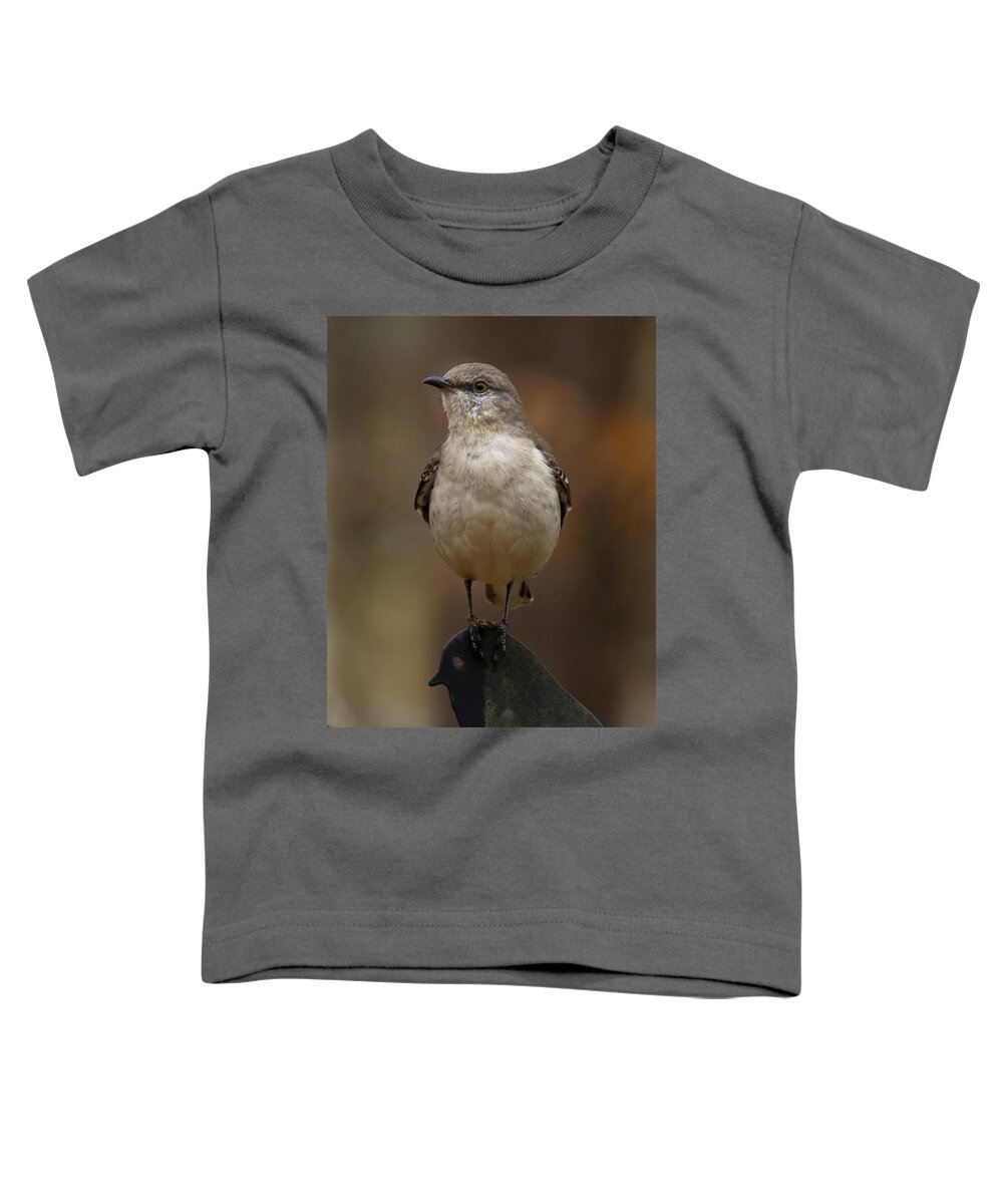 Northern Mockingbird Toddler T-Shirt featuring the photograph Northern Mockingbird by Robert L Jackson