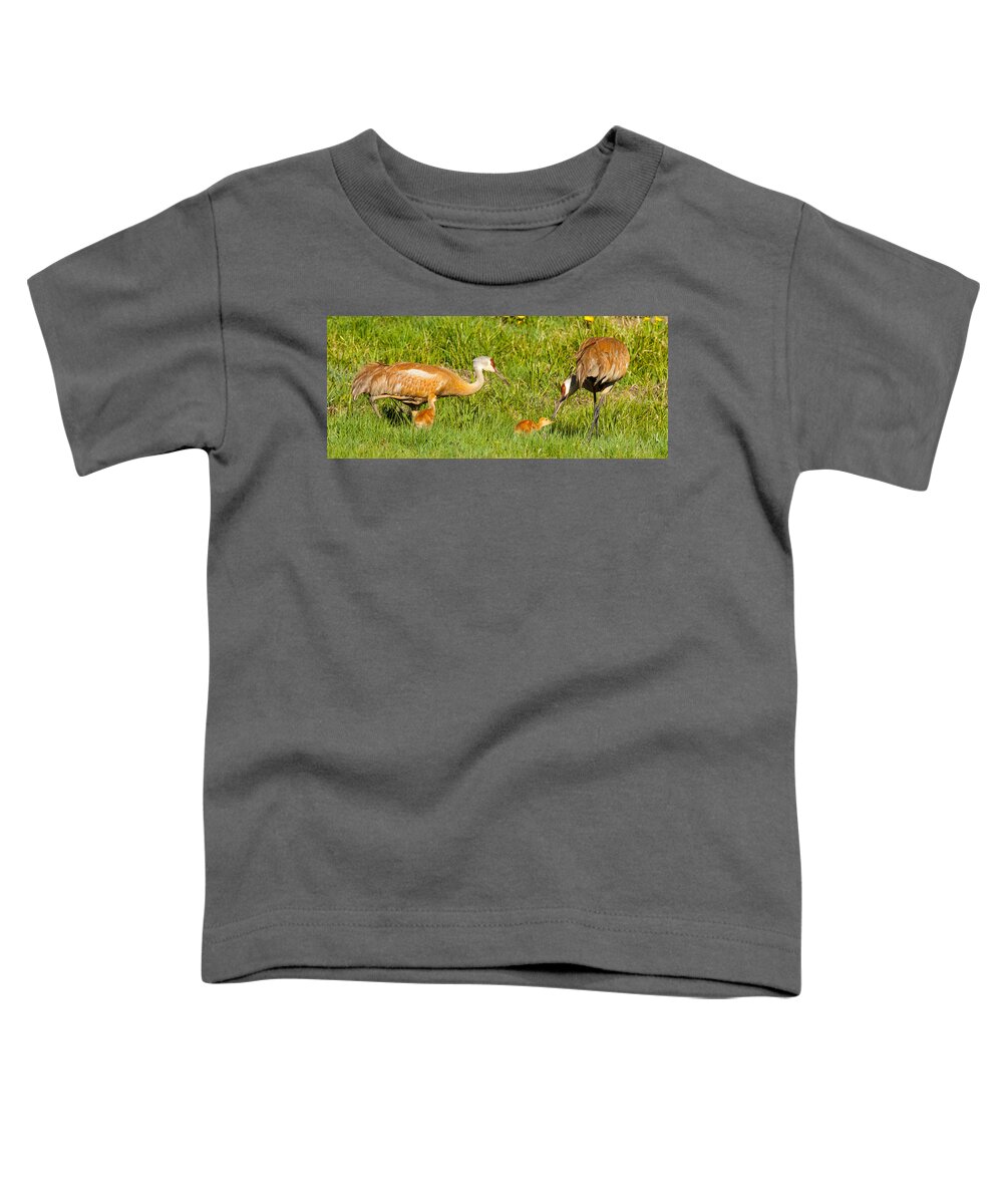 Sandhill Cranes Toddler T-Shirt featuring the photograph Nurturing by Kevin Dietrich